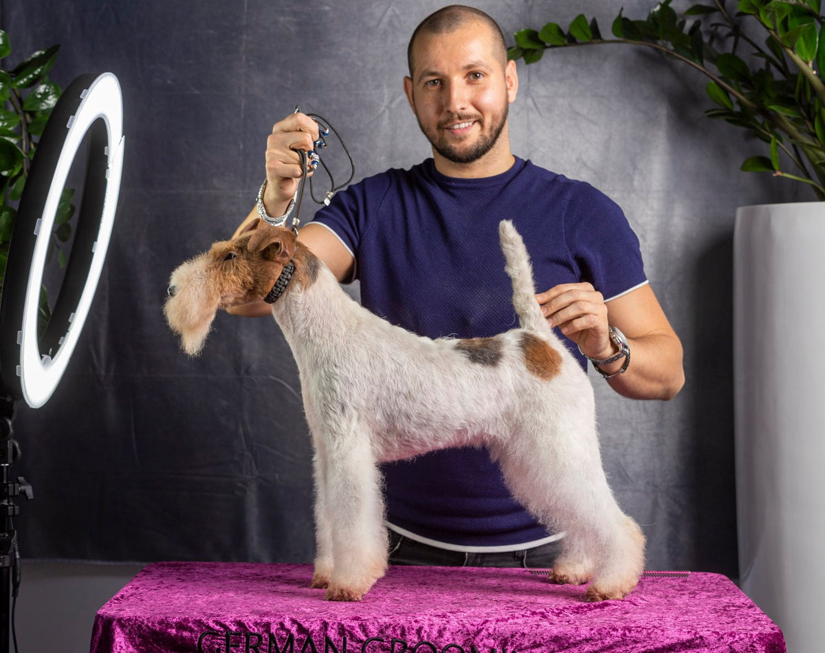 Animal Magic Academy – Animal Magic Groomers